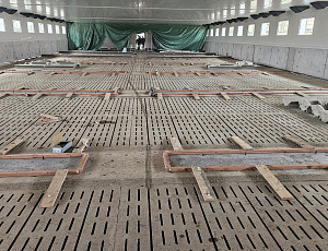 Rekonstrukce haly na farmě chovu prasat